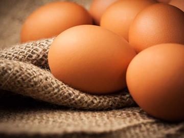 huevos tela